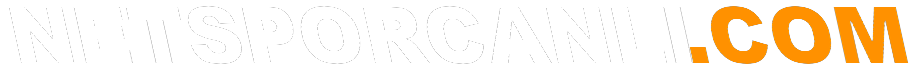 www.netsporcanli.com